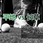 平地vs长草-黑白